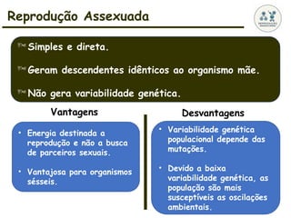 Reprodução Assexuada
Simples e direta.
Geram descendentes idênticos ao organismo mãe.
Não gera variabilidade genética.
Vantagens
• Energia destinada a
reprodução e não a busca
de parceiros sexuais.
• Vantajosa para organismos
sésseis.
Desvantagens
• Variabilidade genética
populacional depende das
mutações.
• Devido a baixa
variabilidade genética, as
população são mais
susceptíveis as oscilações
ambientais.
 