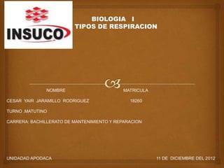 BIOLOGIA I
TIPOS DE RESPIRACION
NOMBRE MATRICULA
CESAR YAIR JARAMILLO RODRIGUEZ 18260
TURNO .MATUTINO
CARRERA: BACHILLERATO DE MANTENIMIENTO Y REPARACION
UNIDADAD APODACA 11 DE DICIEMBRE DEL 2012
 