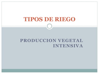 PRODUCCION VEGETAL
INTENSIVA
TIPOS DE RIEGO
 