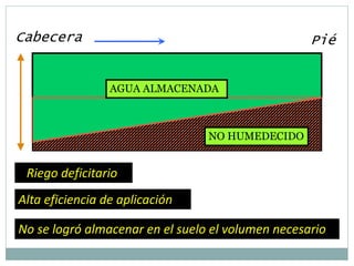 Cabecera Pié
Riego deficitario
Alta eficiencia de aplicación
No se logró almacenar en el suelo el volumen necesario
AGUA ALMACENADA
NO HUMEDECIDO
 