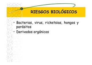RIESGOS BIOLÓGICOS
• Bacterias, virus, ricketsias, hongos y
parásitos
• Derivados orgánicos