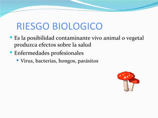 RIESGO BIOLOGICO Es la posibilidad contaminante vivo animal o vegetal produzca efectos sobre la salud Enfermedades profesionales Virus, bacterias, hongos, parásitos 