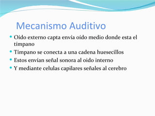 Mecanismo Auditivo Oído externo capta envía oído medio donde esta el tímpano Tímpano se conecta a una cadena huesecillos Estos envían señal sonora al oido interno  Y mediante celulas capilares señales al cerebro 