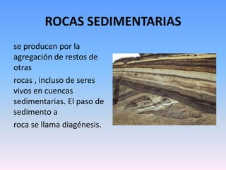 ROCAS SEDIMENTARIAS
se producen por la
agregación de restos de
otras
rocas , incluso de seres
vivos en cuencas
sedimentarias. El paso de
sedimento a
roca se llama diagénesis.
 