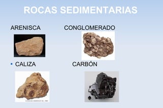 ROCAS SEDIMENTARIAS
ARENISCA CONGLOMERADO

CALIZA CARBÓN
 