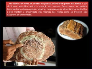 Os fósseis são restos de animais ou plantas que ficaram presos nas rochas e que
não foram destruídos devido à proteção das mesmas. Dessa forma, as bactérias
decompositoras não conseguem atingir os mesmos para se alimentarem e destruí-los,
o que mantém a preservação dos mesmos nas rochas como se tivessem sido
esculpidos ou desenhados.
 