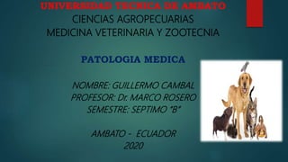 UNIVERSIDAD TECNICA DE AMBATO
CIENCIAS AGROPECUARIAS
MEDICINA VETERINARIA Y ZOOTECNIA
PATOLOGIA MEDICA
NOMBRE: GUILLERMO CAMBAL
PROFESOR: Dr. MARCO ROSERO
SEMESTRE: SEPTIMO “B”
AMBATO - ECUADOR
2020
 