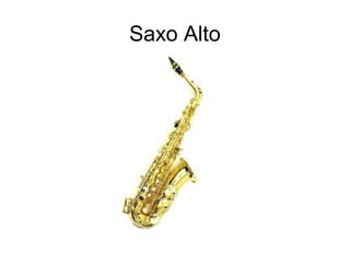 Saxo Alto
 