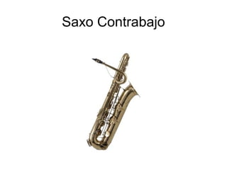 Saxo Contrabajo
 