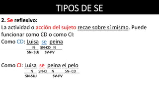 TIPOS DE SE
2. Se reflexivo:
La actividad o acción del sujeto recae sobre sí mismo. Puede
funcionar como CD o como CI:
Como CD: Luisa se peina
N SN-CD N .
SN- SUJ SV-PV
Como CI: Luisa se peina el pelo
N SN-CI N SN- CD .
SN-SUJ SV-PV
 
