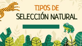 TIPOS DE
SELECCIÓN NATURAL
 