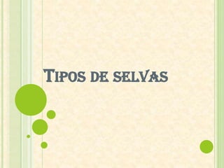 TIPOS DE SELVAS
 