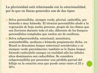 La pluviosidad está relacionada con la estacionalidad,
por lo que en líneas generales son de dos tipos:
 Selva perennifolia, siempre verde, pluvial, ombrófila, per
húmeda o muy húmeda. El término perennifolio alude a la
vegetación de hoja ancha perenne, propio de los climas que
son lluviosos durante todo el año, diferente de los bosques
perennifolios templados que suelen ser de coníferas.
 Selva subperennifolia, estacional, monzónica,
semiombrófila, mediana o húmeda propiamente dicha, en
Brasil se denomina bosque estacional semideciduo y es
siempre verde parcialmente; también se le llama bosque
húmedo caducifolio aunque en realidad sólo los árboles
altos dominantes son caducifolios. Se considera
subperennifolia por presentar una pérdida parcial del
follaje en la estación seca que puede estar entre el 25 y
50%.
 