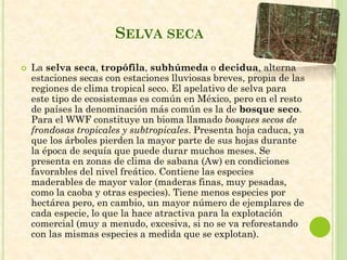 SELVA SECA
 La selva seca, tropófila, subhúmeda o decidua, alterna
estaciones secas con estaciones lluviosas breves, propia de las
regiones de clima tropical seco. El apelativo de selva para
este tipo de ecosistemas es común en México, pero en el resto
de países la denominación más común es la de bosque seco.
Para el WWF constituye un bioma llamado bosques secos de
frondosas tropicales y subtropicales. Presenta hoja caduca, ya
que los árboles pierden la mayor parte de sus hojas durante
la época de sequía que puede durar muchos meses. Se
presenta en zonas de clima de sabana (Aw) en condiciones
favorables del nivel freático. Contiene las especies
maderables de mayor valor (maderas finas, muy pesadas,
como la caoba y otras especies). Tiene menos especies por
hectárea pero, en cambio, un mayor número de ejemplares de
cada especie, lo que la hace atractiva para la explotación
comercial (muy a menudo, excesiva, si no se va reforestando
con las mismas especies a medida que se explotan).
 