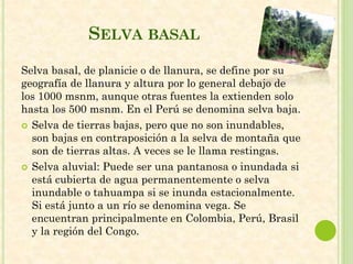 SELVA BASAL
Selva basal, de planicie o de llanura, se define por su
geografía de llanura y altura por lo general debajo de
los 1000 msnm, aunque otras fuentes la extienden solo
hasta los 500 msnm. En el Perú se denomina selva baja.
 Selva de tierras bajas, pero que no son inundables,
son bajas en contraposición a la selva de montaña que
son de tierras altas. A veces se le llama restingas.
 Selva aluvial: Puede ser una pantanosa o inundada si
está cubierta de agua permanentemente o selva
inundable o tahuampa si se inunda estacionalmente.
Si está junto a un río se denomina vega. Se
encuentran principalmente en Colombia, Perú, Brasil
y la región del Congo.
 