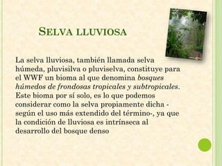 SELVA LLUVIOSA
La selva lluviosa, también llamada selva
húmeda, pluvisilva o pluviselva, constituye para
el WWF un bioma al que denomina bosques
húmedos de frondosas tropicales y subtropicales.
Este bioma por sí solo, es lo que podemos
considerar como la selva propiamente dicha -
según el uso más extendido del término-, ya que
la condición de lluviosa es intrínseca al
desarrollo del bosque denso
 