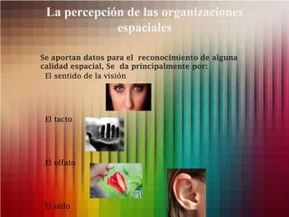 La percepción de las organizaciones
espaciales
Se aportan datos para el reconocimiento de alguna
calidad espacial, Se da principalmente por:
El sentido de la visión
El tacto
El olfato
El oído
 