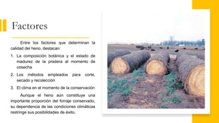 Tipos de silo, Ensilaje y Henificación (1).pptx