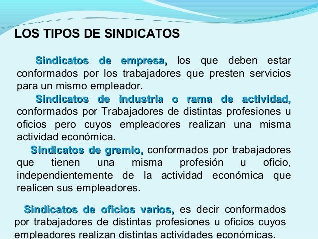 Tipos de sindicatos
