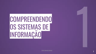 COMPREENDENDO
OS SISTEMAS DE
INFORMAÇÃO
3
Prof. Renato Soares
 