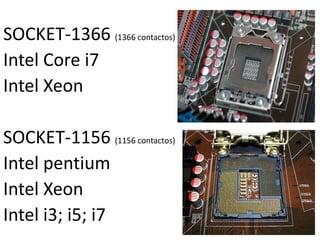 SOCKET-1366 (1366 contactos)Intel Core i7Intel XeonSOCKET-1156 (1156 contactos)Intel pentiumIntel Xeon Intel i3; i5; i7  