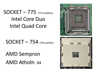 SOCKET – 775  (775 celdillas)Intel Core Duo Intel Quad CoreSOCKET – 754 (754 patillas)  AMD Sempron AMD Atholn  64