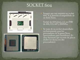 Tipos de socket | PPTX