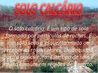 O solo calcário É um tipo de solo
formado por partículas de rochas. É
um solo seco e esquenta muito ao
receber os raios solares. Inadequado
para a agricultura. Este tipo de solo é
muito comum em regiões de deserto.
 
