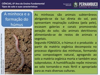 Tipos de solo e suas características | PPT