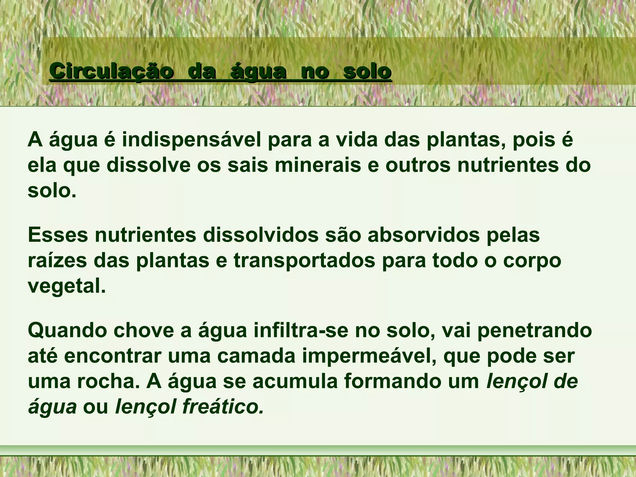 Circulação da água no soloCirculação da água no solo
A água é indispensável para a vida das plantas, pois é
ela que dissolve os sais minerais e outros nutrientes do
solo.
Esses nutrientes dissolvidos são absorvidos pelas
raízes das plantas e transportados para todo o corpo
vegetal.
Quando chove a água infiltra-se no solo, vai penetrando
até encontrar uma camada impermeável, que pode ser
uma rocha. A água se acumula formando um lençol de
água ou lençol freático.
 