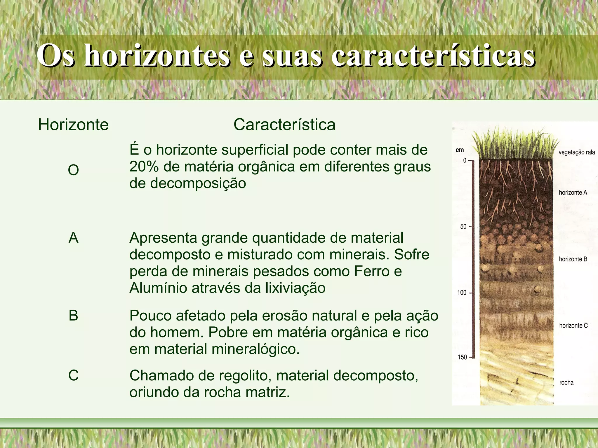 Os horizontes e suas característicasOs horizontes e suas características
Horizonte Característica
O
É o horizonte superficial pode conter mais de
20% de matéria orgânica em diferentes graus
de decomposição
A Apresenta grande quantidade de material
decomposto e misturado com minerais. Sofre
perda de minerais pesados como Ferro e
Alumínio através da lixiviação
B Pouco afetado pela erosão natural e pela ação
do homem. Pobre em matéria orgânica e rico
em material mineralógico.
C Chamado de regolito, material decomposto,
oriundo da rocha matriz.
 