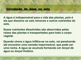 Circulação da água no soloCirculação da água no solo
A água é indispensável para a vida das plantas, pois é
ela que dissolve os sais minerais e outros nutrientes do
solo.
Esses nutrientes dissolvidos são absorvidos pelas
raízes das plantas e transportados para todo o corpo
vegetal.
Quando chove a água infiltra-se no solo, vai penetrando
até encontrar uma camada impermeável, que pode ser
uma rocha. A água se acumula formando um lençol de
água ou lençol freático.
 
