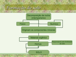 Formação do soloFormação do solo
Decomposição da rocha
(intemperismo)
Físico Químico
Originam os componentes minerais
Material orgânico
Húmus
SOLO
Responsável pela fertilidade
do solo
 