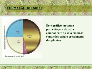 FORMAÇÃO DO SOLOFORMAÇÃO DO SOLO
Este gráfico mostra a
porcentagem de cada
componente do solo em boas
condições para o crescimento
das plantas.
 