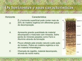 Os horizontes e suas característicasOs horizontes e suas características
Horizonte Característica
O
É o horizonte superficial pode conter mais de
20% de matéria orgânica em diferentes graus
de decomposição
A Apresenta grande quantidade de material
decomposto e misturado com minerais. Sofre
perda de minerais pesados como Ferro e
Alumínio através da lixiviação
B Pouco afetado pela erosão natural e pela ação
do homem. Pobre em matéria orgânica e rico
em material mineralógico.
C Chamado de regolito, material decomposto,
oriundo da rocha matriz.
 