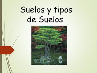 Suelos y tipos
de Suelos
 