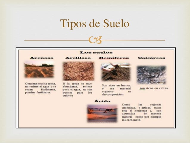 Tipos de suelo