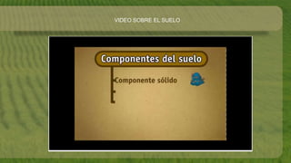 VIDEO SOBRE EL SUELO