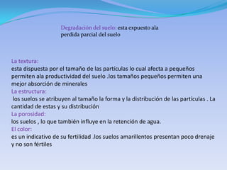 Degradación del suelo: esta expuesto ala
                    perdida parcial del suelo



La textura:
esta dispuesta por el tamaño de las partículas lo cual afecta a pequeños
permiten ala productividad del suelo .los tamaños pequeños permiten una
mejor absorción de minerales
La estructura:
 los suelos se atribuyen al tamaño la forma y la distribución de las partículas . La
cantidad de estas y su distribución
La porosidad:
los suelos , lo que también influye en la retención de agua.
El color:
es un indicativo de su fertilidad .los suelos amarillentos presentan poco drenaje
y no son fértiles
 