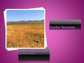 Tipos De Suelos Alfredo Jimenez Ramirez