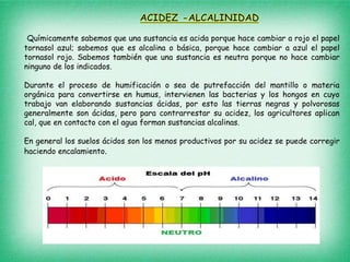 Químicamente sabemos que una sustancia es acida porque hace cambiar a rojo el papel
tornasol azul; sabemos que es alcalina o básica, porque hace cambiar a azul el papel
tornasol rojo. Sabemos también que una sustancia es neutra porque no hace cambiar
ninguno de los indicados.
Durante el proceso de humificación o sea de putrefacción del mantillo o materia
orgánica para convertirse en humus, intervienen las bacterias y los hongos en cuyo
trabajo van elaborando sustancias ácidas, por esto las tierras negras y polvorosas
generalmente son ácidas, pero para contrarrestar su acidez, los agricultores aplican
cal, que en contacto con el agua forman sustancias alcalinas.
En general los suelos ácidos son los menos productivos por su acidez se puede corregir
haciendo encalamiento.
 