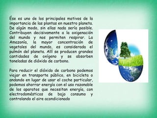 Ése es uno de los principales motivos de la
importancia de las plantas en nuestro planeta.
De algún modo, sin ellas nada sería posible.
Contribuyen decisivamente a la oxigenación
del mundo y nos permiten respirar. La
Amazonía, la mayor concentración de
vegetales del mundo, es considerada el
pulmón del planeta. Allí se producen grandes
cantidades de oxígeno y se absorben
toneladas de dióxido de carbono.
Para reducir el dióxido de carbono podemos
viajar en transporte público, en bicicleta o
andando en lugar de usar el coche particular,
podemos ahorrar energía con el uso razonable
de los aparatos que necesitan energía, con
electrodomésticos de bajo consumo y
controlando el aire acondicionado
 
