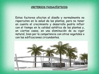 Estos factores afectan al diseño y normalmente no
repercuten en la salud de las plantas, pero no tener
en cuenta el crecimiento y desarrollo podría influir
con el tiempo en la calidad estética de las plantas y,
en ciertos casos, en una disminución de su vigor
natural, bien por la competencia con otros vegetales o
con las edificaciones circundantes.
CRITERIOS PAISAJÍSTICOS
 