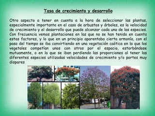 Tasa de crecimiento y desarrollo
Otro aspecto a tener en cuenta a la hora de seleccionar las plantas,
especialmente importante en el caso de arbustos y árboles, es la velocidad
de crecimiento y el desarrollo que puede alcanzar cada una de las especies.
Con frecuencia vemos plantaciones en las que no se han tenido en cuenta
estos factores, y lo que en un principio aparentaba cierta armonía, con el
paso del tiempo se iba convirtiendo en una vegetación caótica en la que los
vegetales competían unos con otros por el espacio, estorbándose
mutuamente, o en la que se iban perdiendo las proporciones al tener las
diferentes especies utilizadas velocidades de crecimiento y/o portes muy
dispares
 