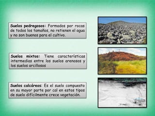 Suelos pedregosos: Formados por rocas
de todos los tamaños, no retienen el agua
y no son buenos para el cultivo.
Suelos mixtos: Tiene características
intermedias entre los suelos arenosos y
los suelos arcillosos
Suelos calcáreos: Es el suelo compuesto
en su mayor parte por cal en estos tipos
de suelo difícilmente crece vegetación.
 