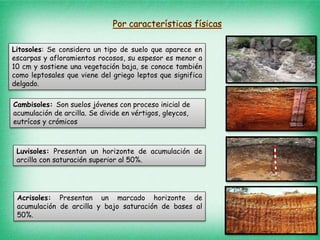 Litosoles: Se considera un tipo de suelo que aparece en
escarpas y afloramientos rocosos, su espesor es menor a
10 cm y sostiene una vegetación baja, se conoce también
como leptosales que viene del griego leptos que significa
delgado.
Cambisoles: Son suelos jóvenes con proceso inicial de
acumulación de arcilla. Se divide en vértigos, gleycos,
eutrícos y crómicos
Luvisoles: Presentan un horizonte de acumulación de
arcilla con saturación superior al 50%.
Acrisoles: Presentan un marcado horizonte de
acumulación de arcilla y bajo saturación de bases al
50%.
 