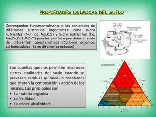 Corresponden fundamentalmente a los contenidos de
diferentes sustancias importantes como micro
nutrientes (N,P, Ca, Mg,K,S) y micro nutrientes (Fe,
Mn,Co,2n;B,MO,Cl) para las plantas o por dotar al suelo
de diferentes características (Carbono orgánico,
carbono calcico, fe en diferentes estados)
Son aquellas que nos permiten reconocer
ciertas cualidades del suelo cuando se
provocan cambios químicos o reacciones
que alteran la composición y acción de los
mismos. Las principales son:
• La materia orgánica
• La fertilidad
• La acidez-alcalinidad
 