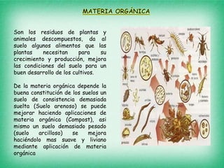 Son los residuos de plantas y
animales descompuestos, da al
suelo algunos alimentos que las
plantas necesitan para su
crecimiento y producción, mejora
las condiciones del suelo para un
buen desarrollo de los cultivos.
De la materia orgánica depende la
buena constitución de los suelos un
suelo de consistencia demasiada
suelta (Suelo arenoso) se puede
mejorar haciendo aplicaciones de
materia orgánica (Compost), asi
mismo un suelo demasiado pesado
(suelo arcilloso) se mejora
haciéndolo mas suave y liviano
mediante aplicación de materia
orgánica
 