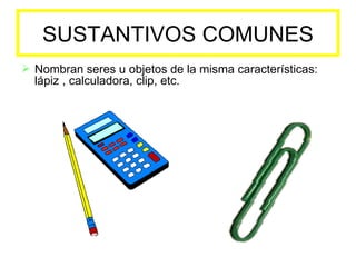 SUSTANTIVOS COMUNES ,[object Object]