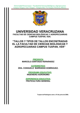 center-76835<br />UNIVERSIDAD VERACRUZANA<br />FACULTAD DE CIENCIAS BIOLÓGICAS Y AGROPECUARIAS<br />CAMPUS TUXPAN, VER.<br />“TALLOS Y TIPOS DE TALLOS ENCONTRADAS EL LA FACULTAD DE CIENCIAS BIOLÓGICAS Y AGROPECUARIAS CAMPUS TUXPAN, VER”<br />PRESENTA:<br />MARCELO SANTIAGO HERNÁNDEZ<br />CATEDRÁTICO:<br />DRA. CONSUELO  BARRADAS DOMÍNGUEZ.<br />PROGRAMA EDUCATIVO:<br />INGENIERO AGRÓNOMO<br />EXPERIENCIA EDUCATIVA:<br />FRUTICULTURA GENERAL<br />                <br />  Tuxpan de Rodríguez cano a 19 de junio de 2008.<br />EL TALLO.<br />El tallo es, entre las plantas con flores, el eje, generalmente aéreo, que prolonga la raíz y tiene las yemas y las hojas. Se ramifica generalmente en diversas ramas.<br />Se diferencia de la raíz por la presencia de entrenudos en los que se insertan las yemas auxiliares y las hojas, por la ausencia de cofia terminal y por su estructura anatómica. La transición entre raíz y tallo se hace en el “cuello”. Pueden existir tallos subterráneos como existen raíces aéreas.<br />Por su modo de crecimiento y de ramificación, el tallo determina el porte de la planta; También tiene una función de sostén de la planta y de transporte de los elementos nutritivos entre las raíces y las hojas.<br /> <br />FIG. 01.  Estructura de un tallo.<br />TIPOS  DE TALLOS.<br />Clasificación de los tallos por su ambiente<br />Según se habitad los tallos se clasifican en:<br />Aéreos o epigeos. <br />Son los de las plantas que se desarrollan sobre el suelo, en contacto con la atmósfera. <br />Subterráneos.<br />Terrestres o hipogeos: son los que viven y se desarrollan debajo del suelo. <br />Se clasifican en:<br />Rizomas<br />-16510121920<br />Bulbos<br />-1651062230<br />CLASIFICACIÓN DE TALLOS AÉREOS.<br />Los tallos aéreos se clasifican en: <br />Herbáceos: tallos blandos de la planta llamadas comúnmente hiervas (amapola).<br />-571539370<br />Troncos: tallos leñosos ramificados (árboles).<br />-5715178435<br />Caña: con nudos muy marcados (Maíz).<br />-571564135<br />Estípites: tallos cilíndricos sin nudos y sin ramificaciones lateral, con un quot;
 penachoquot;
 de hojas en su extremo superior (palmera).<br />-5715109855<br />Por su posición pueden ser:<br />Erguidos: como los árboles.<br />-5715155575<br />Rastreros: como la violeta y el gramillón.<br />-5715-1905<br />Trepadores: como la vid, la hiedra y la arveja.<br />-571578740<br />FUNCIÓN DE LOS TALLOS.<br />El tallo desempeña distintas funciones:<br />Sostén de vegetales: Pueden hacerlo por poseer:<br />Geotropismo negativo: hace que se alejen del suelo<br />Fototropismo Positivo: hace que las ramas y las hojas se orienten hacia los lugares de mayor luminosidad favoreciendo la fotosíntesis <br />Realizan la fotosíntesis <br />Almacenamiento de alimento (Por Ejemplo la papa)<br />422910069977019431006997700699770331470025285705715002528570Conducción o circulación. Es el órgano intermedio entre la raíz y las hojas y conduce los materiales nutritivos contenidos en la savia <br />MATERIAL DE DIFUSIÓN<br />